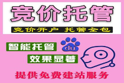 SEM代运营案例分析：提升广告效果